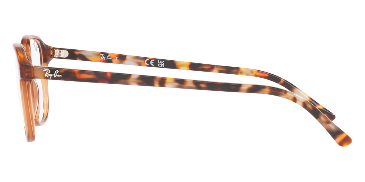 Ray-Ban™ - Leonard RX5393