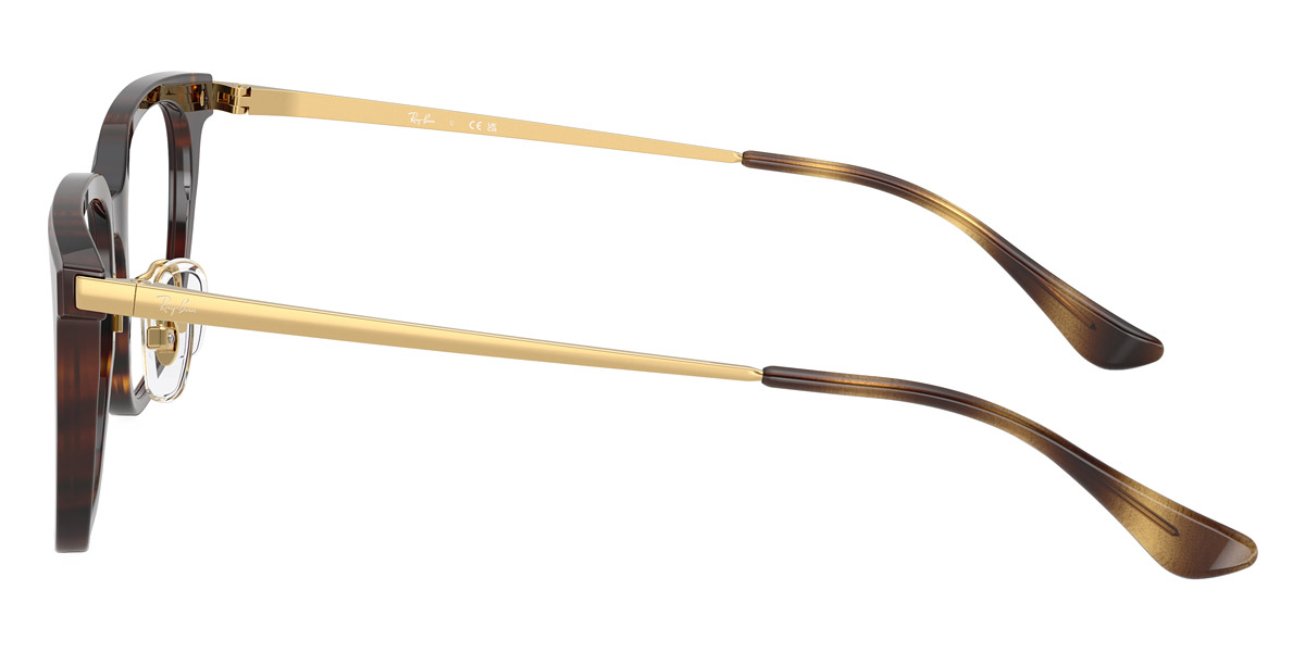 Ray-Ban™ - RX5442D