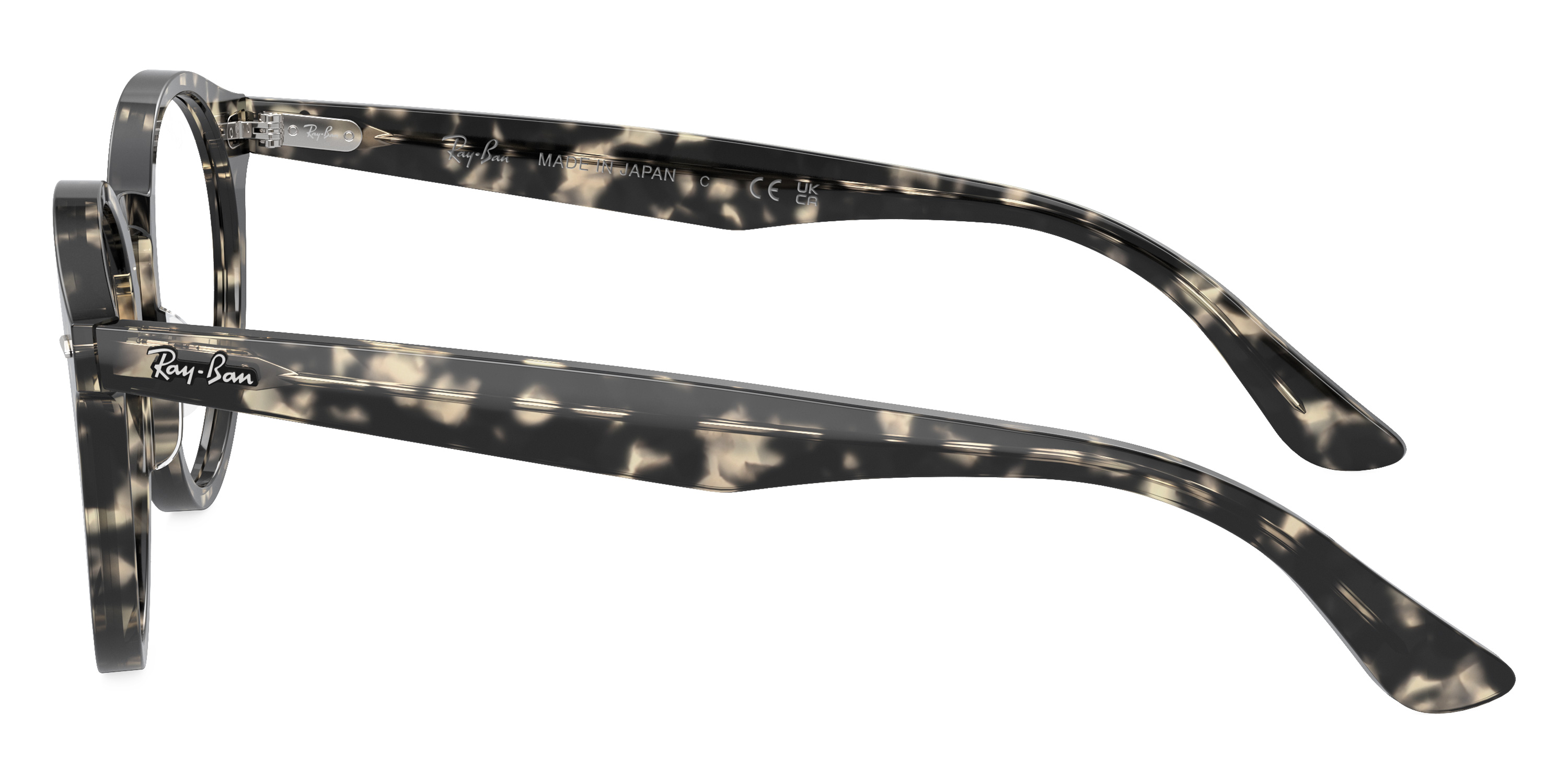 Ray-Ban™ - Larry RX7680V