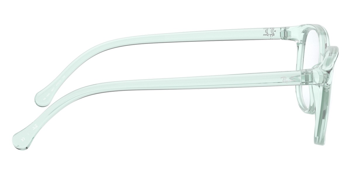 Ray-Ban™ - RY1900