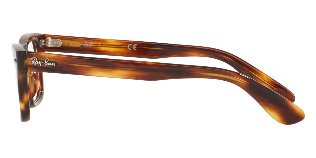 Ray-Ban™ - Burbank Jr RY9083V