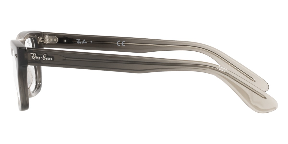 Ray-Ban™ - Burbank Jr RY9083V