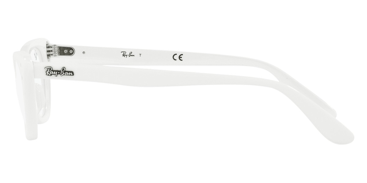 Ray-Ban™ - Miss Burbank RY9099V