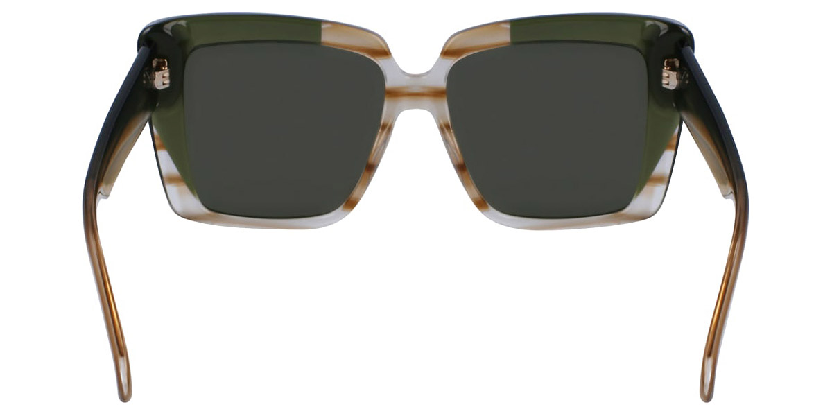 Salvatore Ferragamo™ - SF1060SN