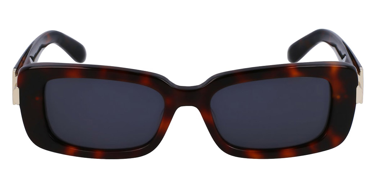 Salvatore Ferragamo™ - SF1105S
