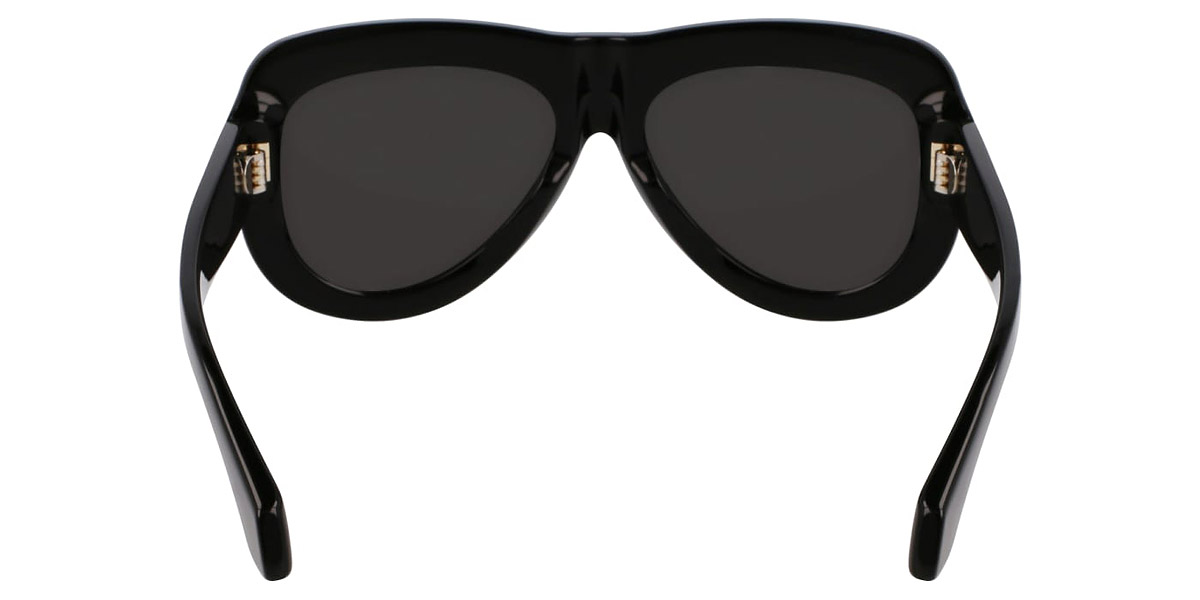 Salvatore Ferragamo™ - SF2029SE