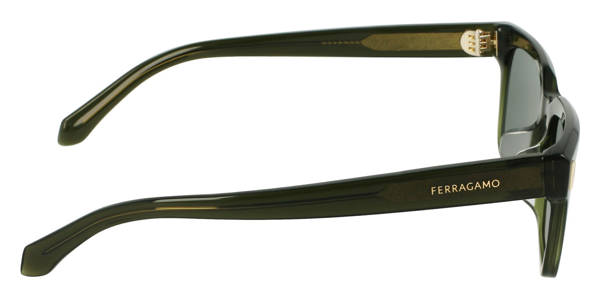 Salvatore Ferragamo™ - SF2043SLB
