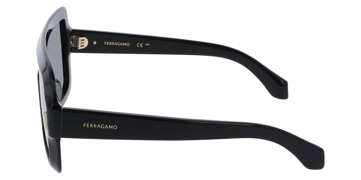 Salvatore Ferragamo™ - SF2061SE