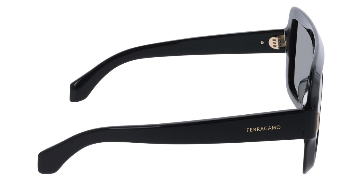 Salvatore Ferragamo™ - SF2061SE