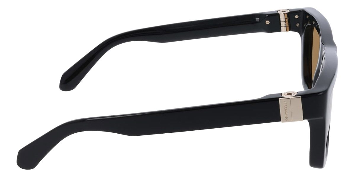 Salvatore Ferragamo™ - SF2071S