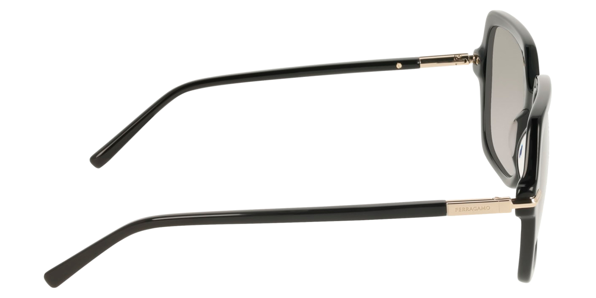 Salvatore Ferragamo™ - SF2076S