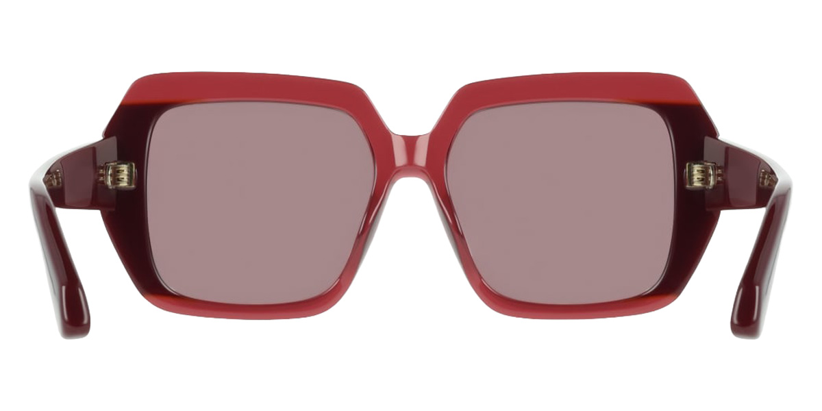 Salvatore Ferragamo™ - SF2081S