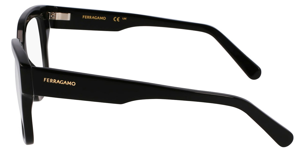Salvatore Ferragamo™ - SF2952N