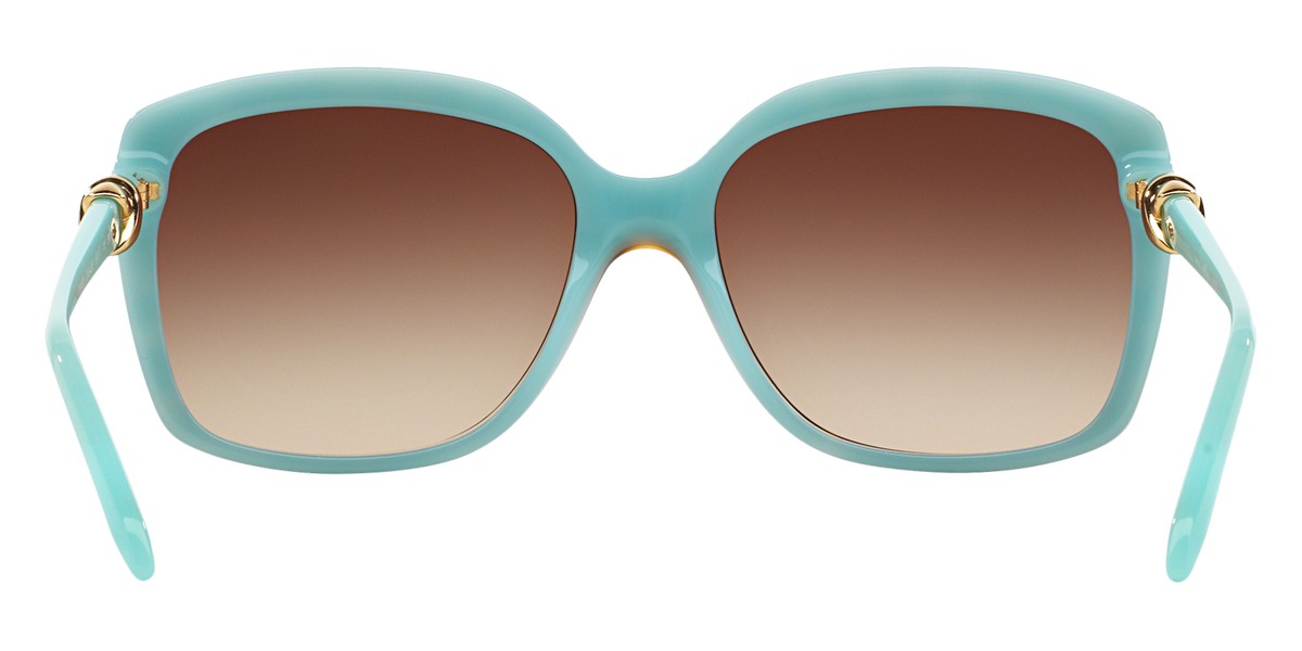 Tiffany™ TF4076 Square Sunglasses | EyeOns.com