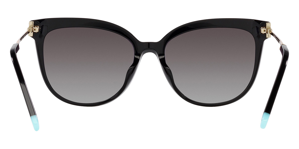 Tiffany™ - TF4176F