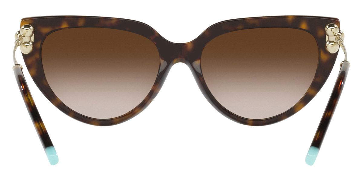 Tiffany™ - TF4195F