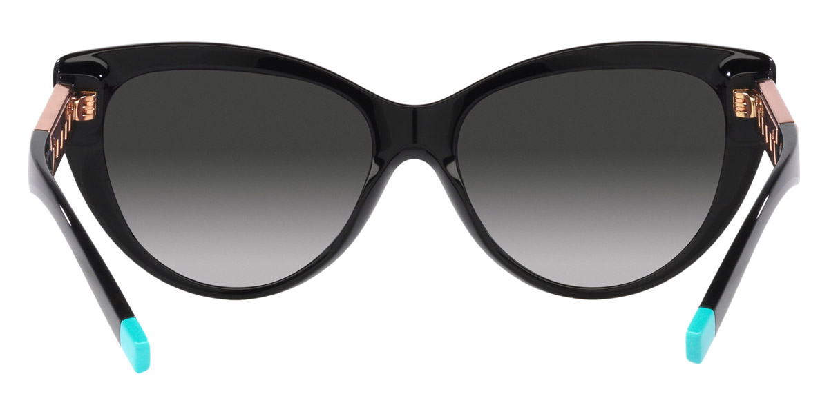 Tiffany™ - TF4196F
