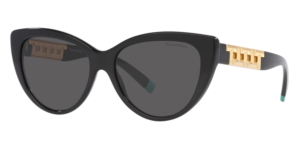Tiffany™ TF4196F 8001S4 56 Black Sunglasses