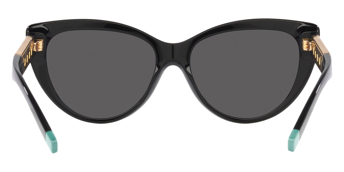 Tiffany™ - TF4196F