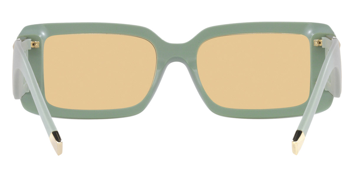 Tiffany™ - TF4197