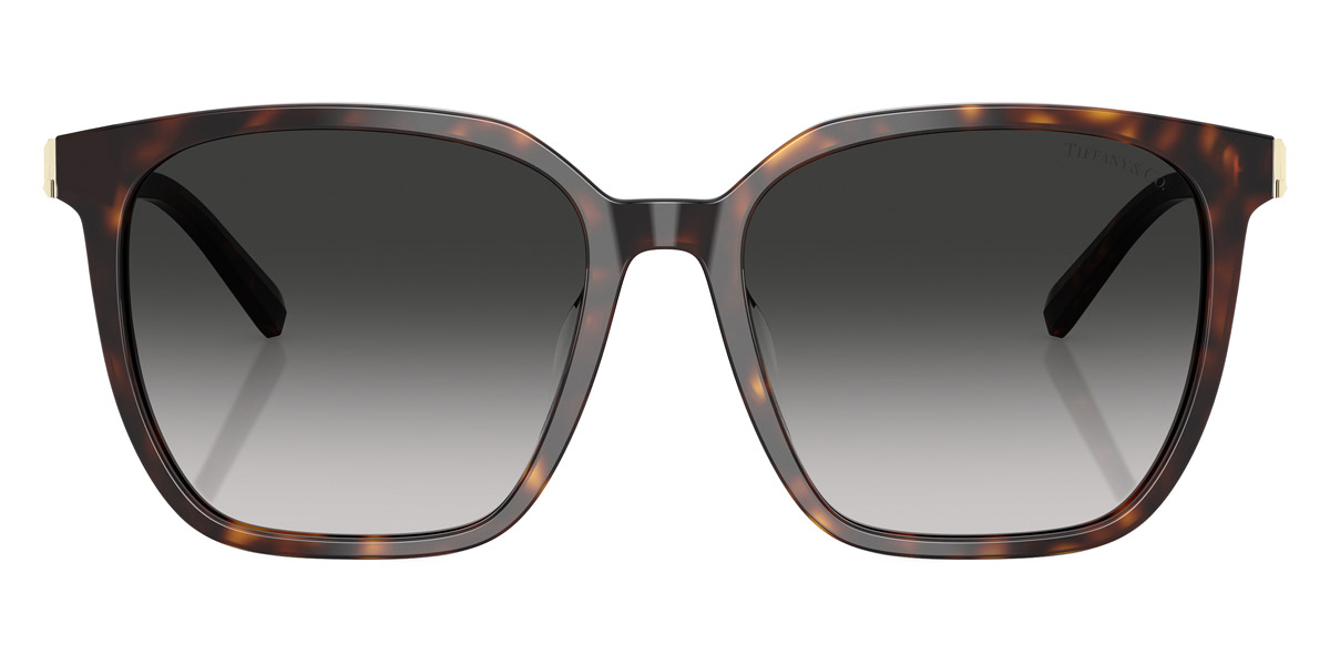 Tiffany™ - TF4244D