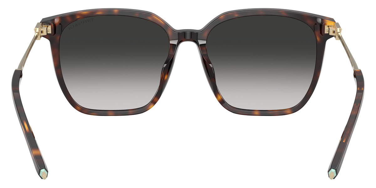Tiffany™ - TF4244D