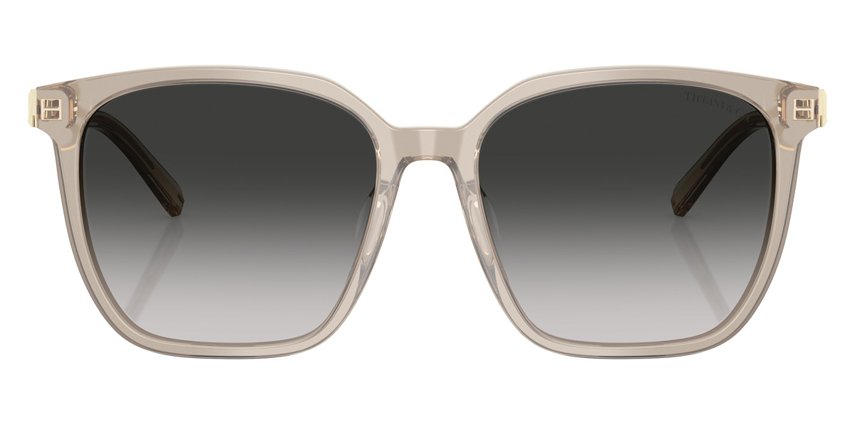 Tiffany™ - TF4244D