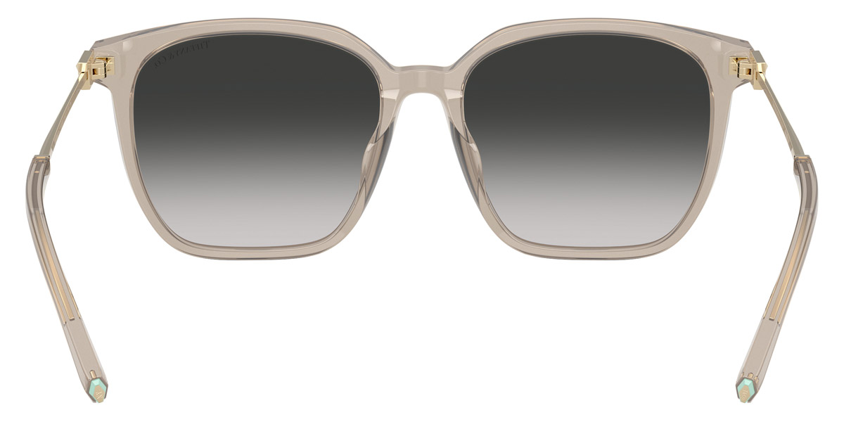 Tiffany™ - TF4244D