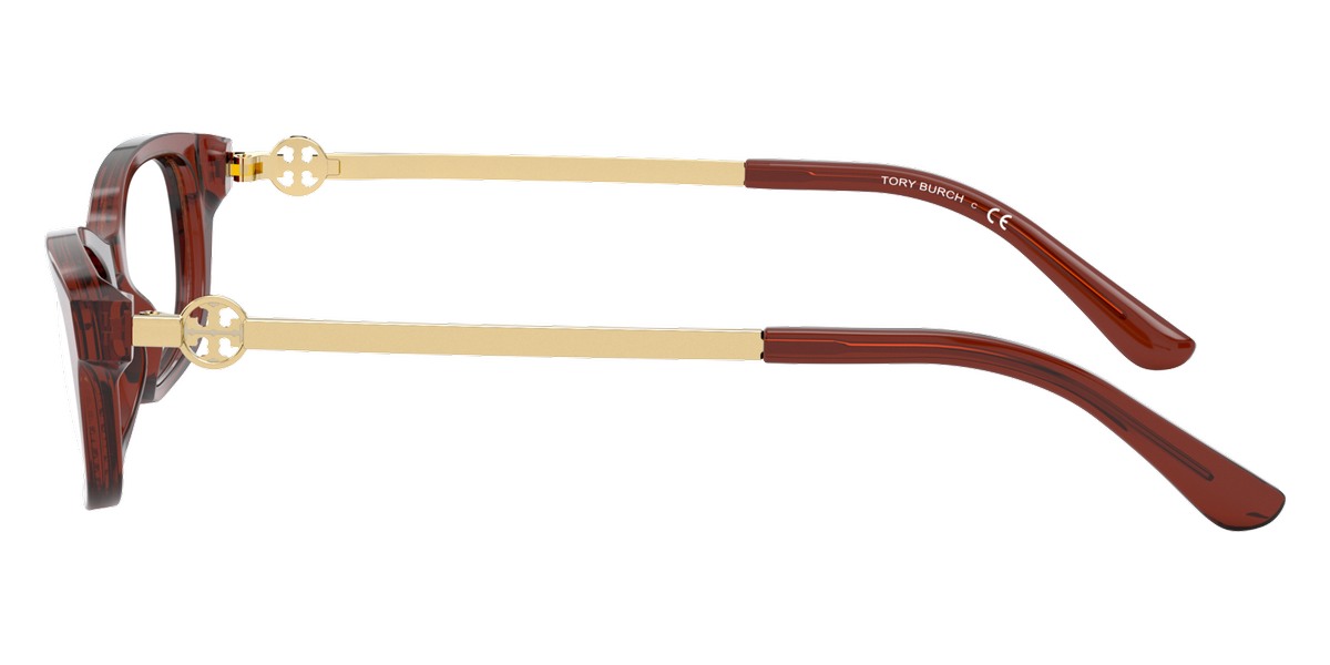 Color: Transparent Dark Brown (1800) - Tory Burch TY2106180052