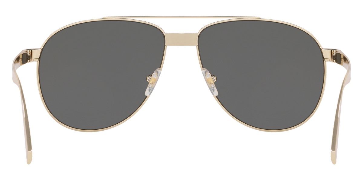 Versace™ - VE2209