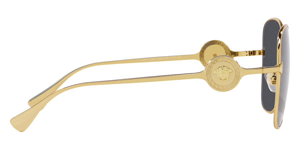 Versace™ - VE2256