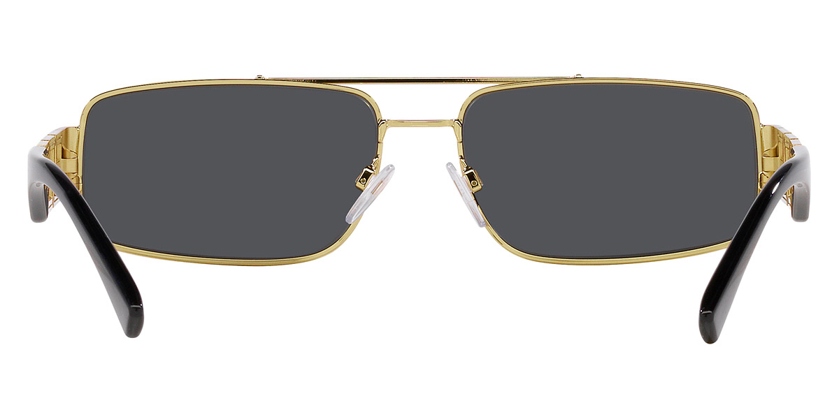 Versace™ - Greca VE2257