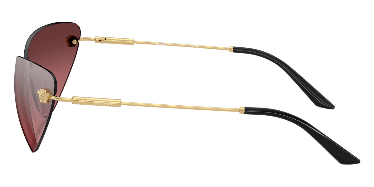 Versace™ - Medusa VE2281