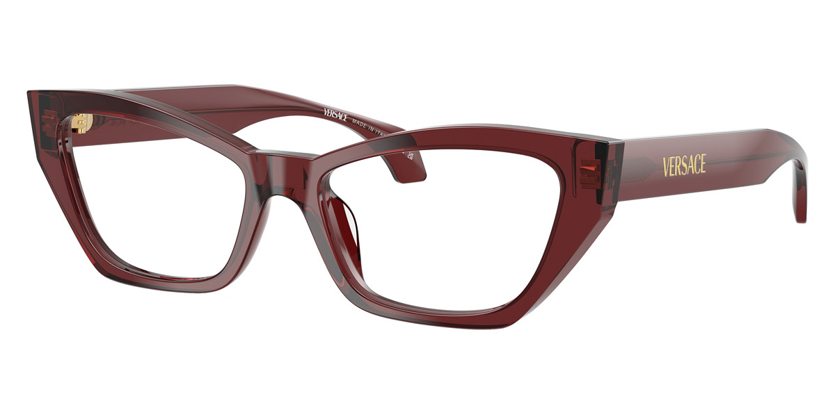 Versace™ - VE3373U