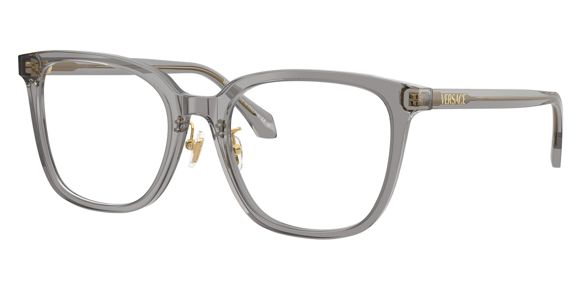 Versace™ - VE3378D