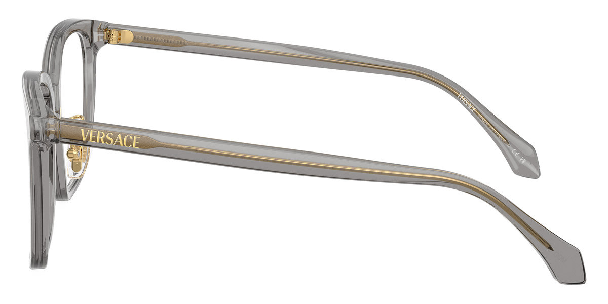 Versace™ - VE3378D