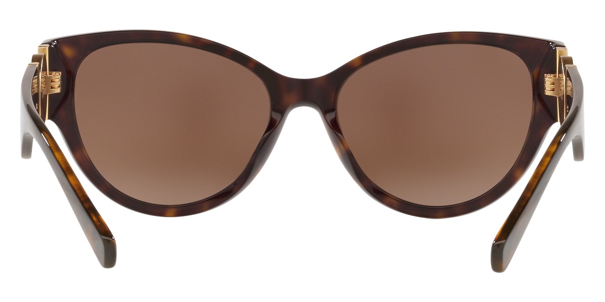 Color: Havana (108/73) - Versace VE4368108/7356