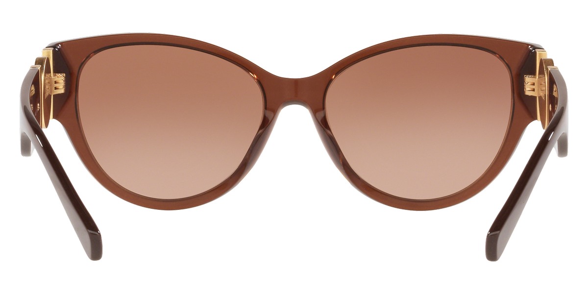 Color: Transparent Brown (530813) - Versace VE436853081356