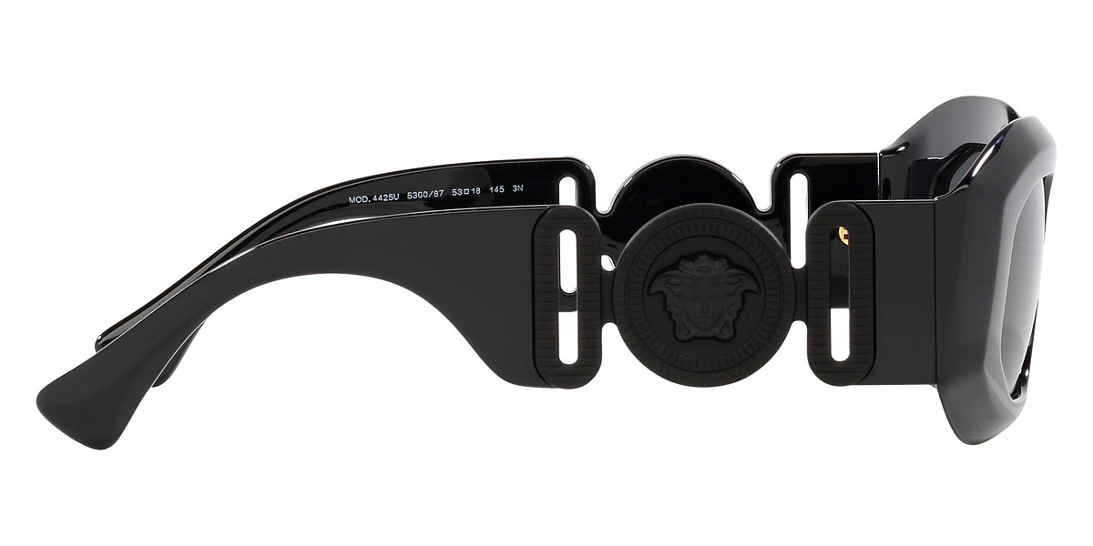 Color: Black (536087) - Versace VE4425U53608754