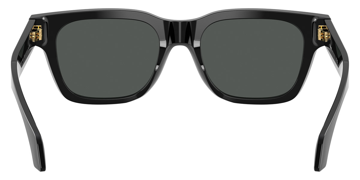 Versace™ - Signature VE4486