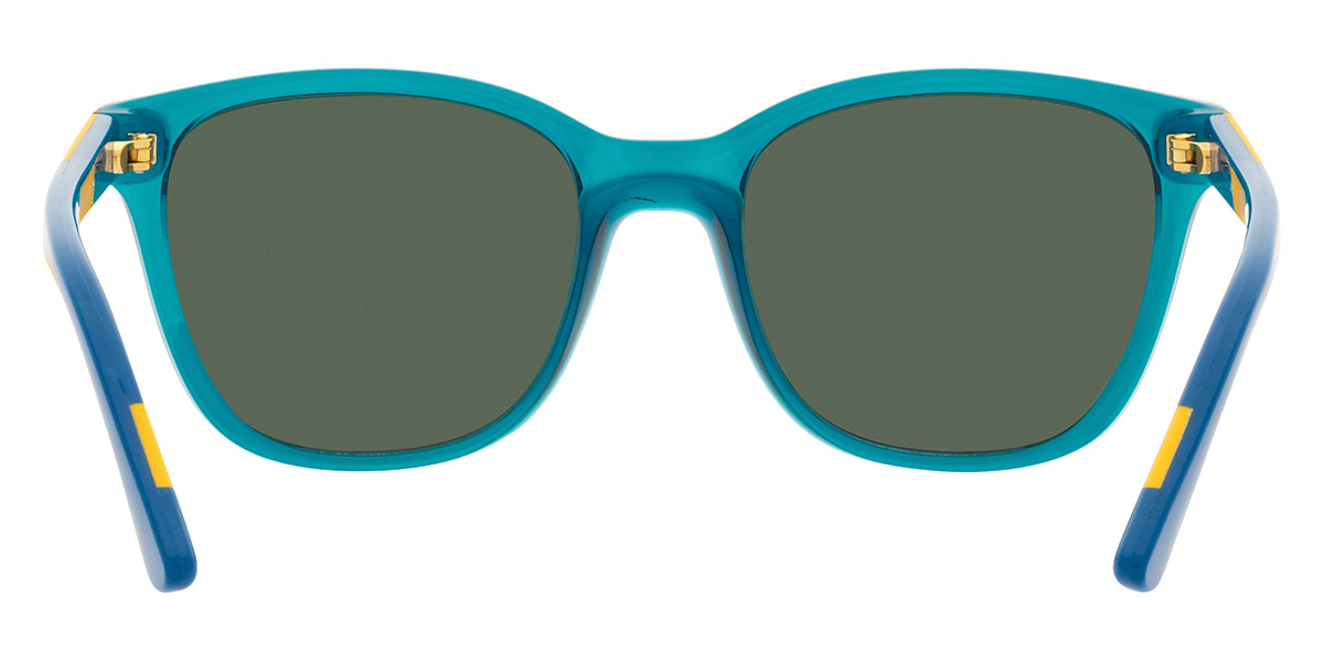 Vogue Eyewear™ - VJ2019