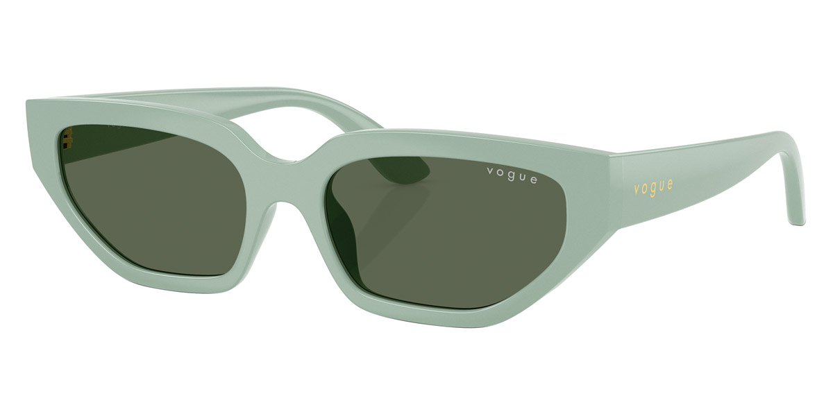 Vogue Eyewear™ - VJ2029