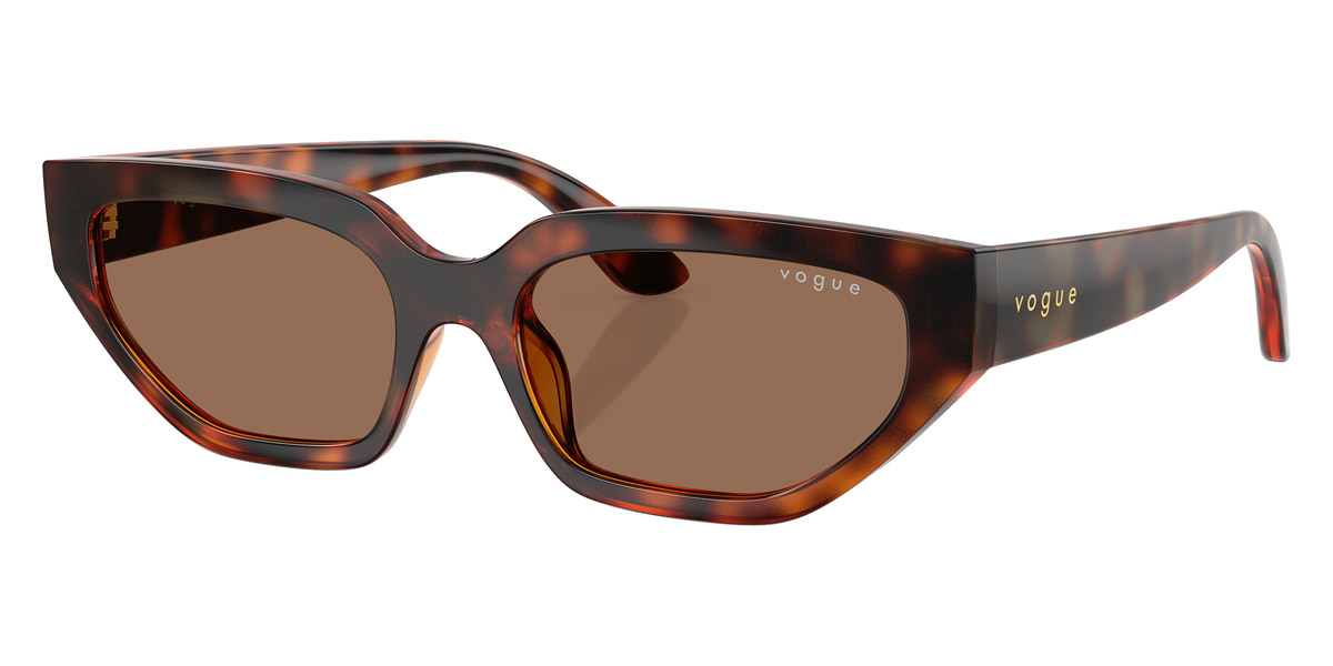 Vogue Eyewear™ - VJ2029