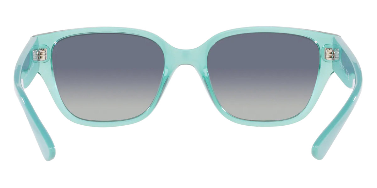 Vogue Eyewear™ - VO5459SB