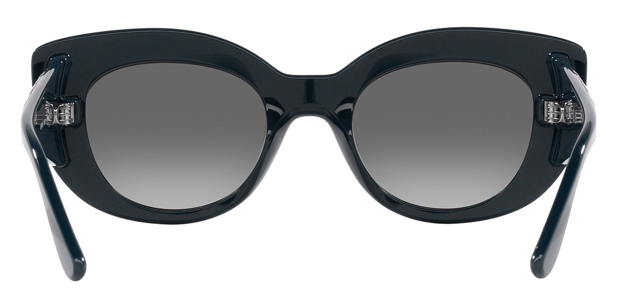 Vogue Eyewear™ - VO5480S