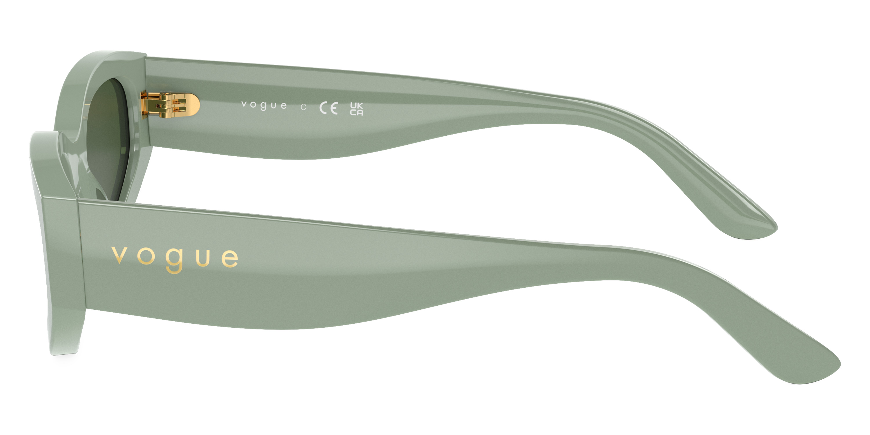Vogue Eyewear™ - VO5585S